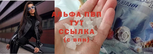 спиды Алзамай